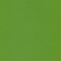 Agilitech Solutions 100 Percent Polyvinyl Chloride Fabric, Lime Cooler WINDSO717